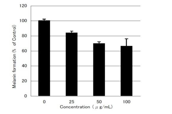 a-lipoic-acidthioctic-acid-tac-dong-len-qua-trinh-hinh-thanh-melanin