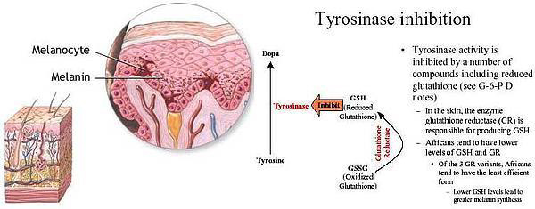 glutathione-trang-da