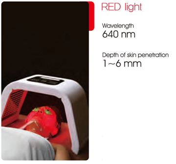 vinhy-mediable-omega-light-anh-sang-do