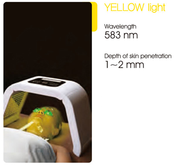 vinhy-mediable-omega-light-anh-sang-vang