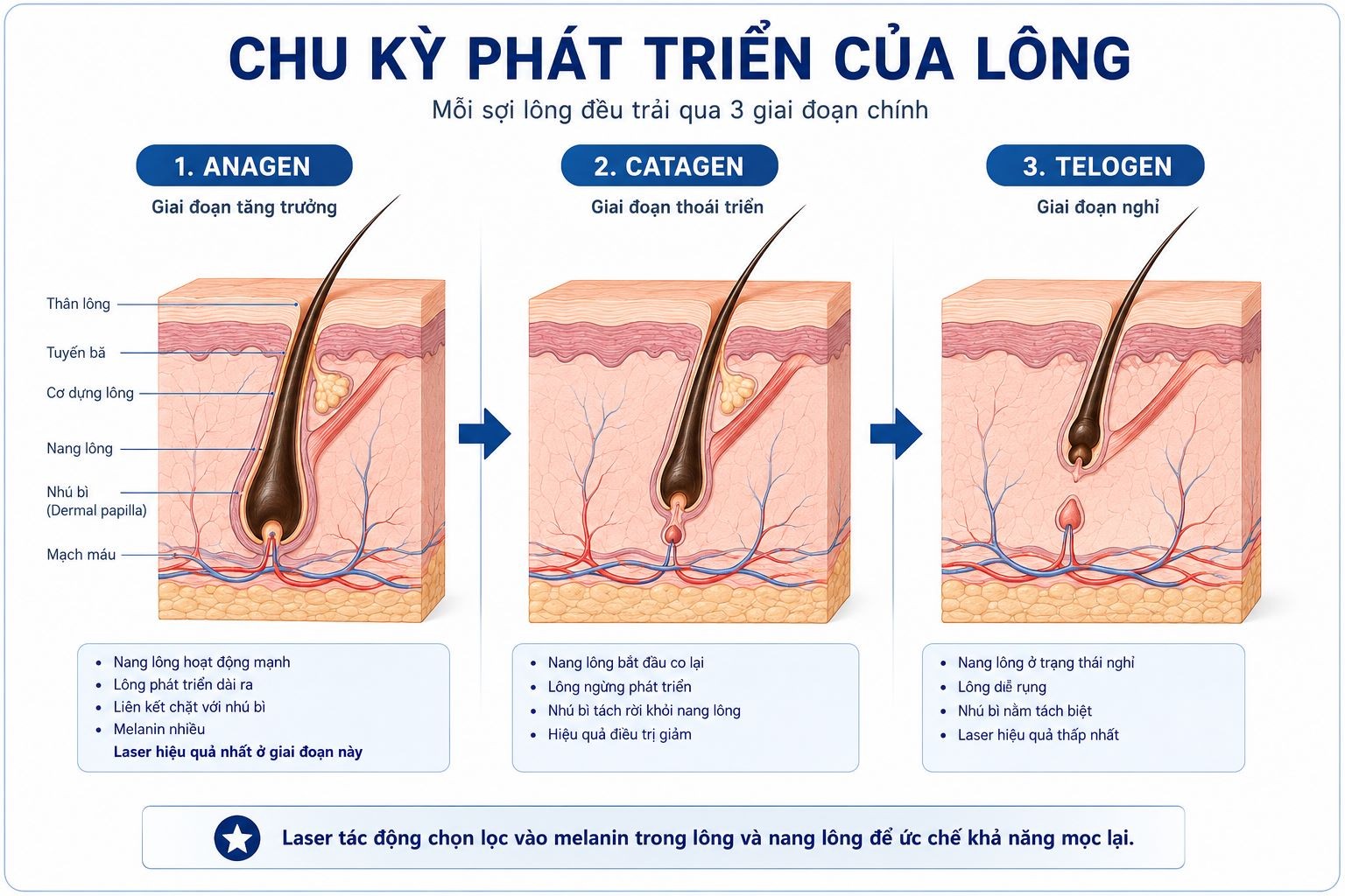 trietlong2