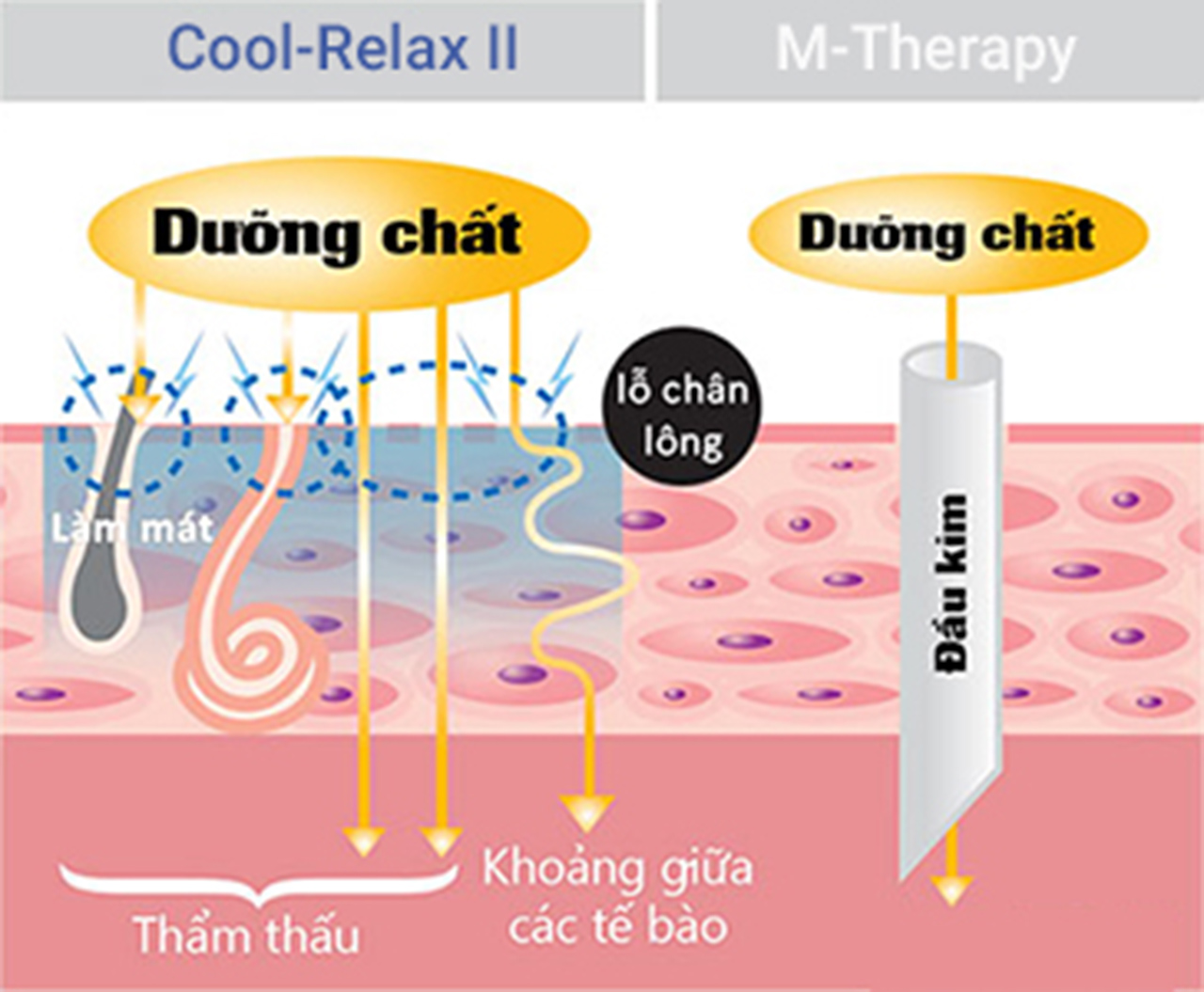 đưa dưỡng chất vào trong da với Thiết bị chăm sóc da cool relax II