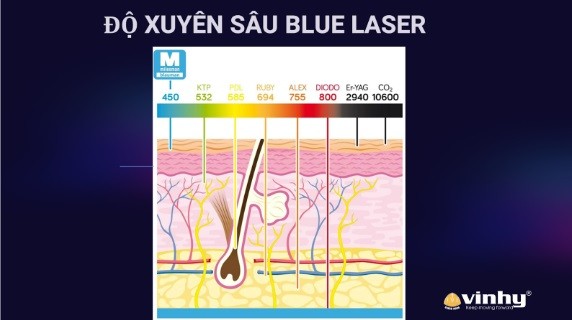 tai-sao-chon-blauman-blue-laser-450nm-de-tri-mun-1